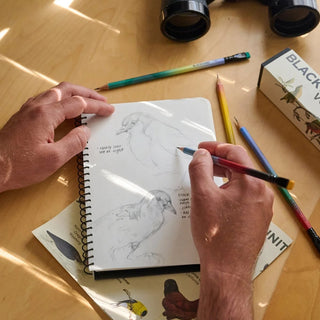 A person sketching in a spiral notebook on a wooden table, surrounded by colored pencils, binoculars, and a box of wood pencils.