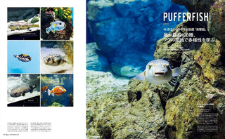 Open magazine spread featuring pufferfish underwater with a photo grid on the left