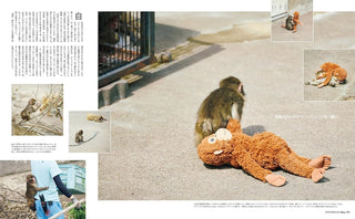 Open magazine spread showing a monkey holding an orange stuffed animal