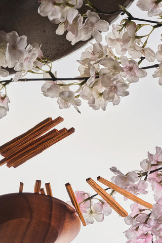 Pieces of wood and cherry blossom flowers on a light background