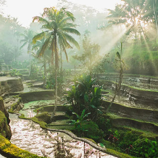 FRAGRANCE MEMORIES Incense Bali Rain