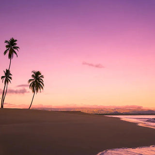FRAGRANCE MEMORIES Incense Hawaii Sunset