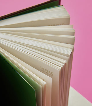 Open book with pages on a pink background