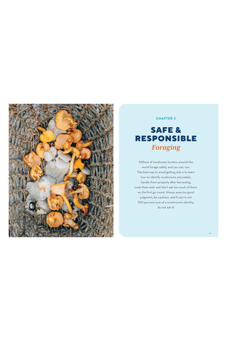 Book page with mushrooms in a woven basket and text about safe and responsible foraging.