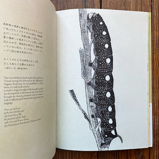 Open book page with black-and-white caterpillar line illustration