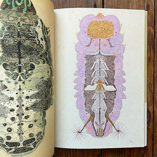 Open book page with colorful caterpillar illustration and purple cloud outline