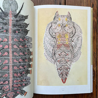 Open book page with pink-and-gray patterned caterpillar insect illustration