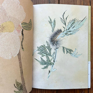 Open book page with blue-green feather plume and botanical leaf illustration
