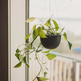 KINTO PLANT POT 201 140mm Black