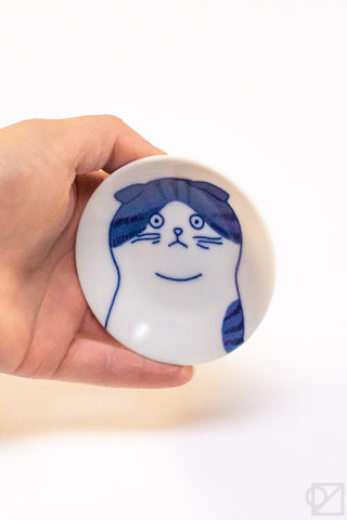 Hand holding a small white dish with a blue cat illustration on a white background