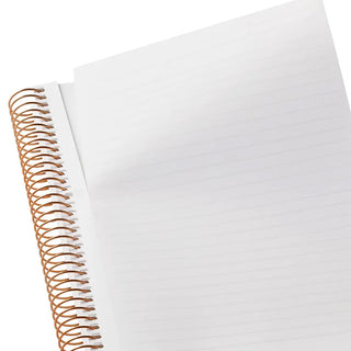 Close-up of a notebook with white pages and gold spiral binding on a white background