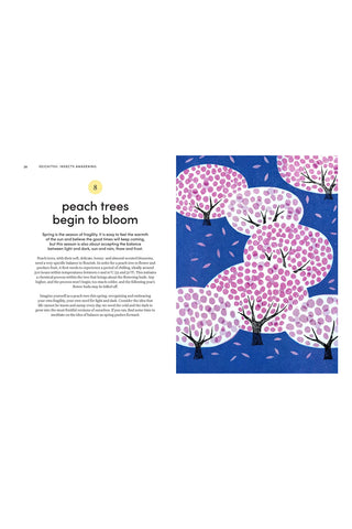 Illustration of pink peach trees on a blue background with text about peach trees blooming.