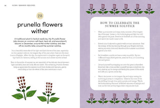 Page from a book about celebrating the summer solstice with prunella flowers, featuring text and illustrations.