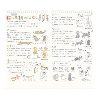 Midori cat-themed calendar page with labeled cat varieties and small character drawings