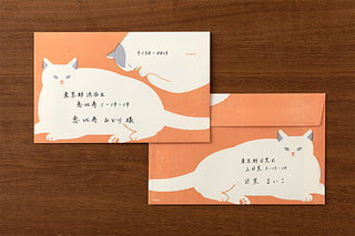 Two envelopes with cat designs and writing on a wooden surface