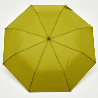 Green umbrella on a white background