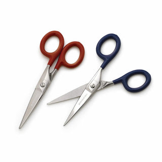 Small stainless steel scissors with red and blue plastic handles