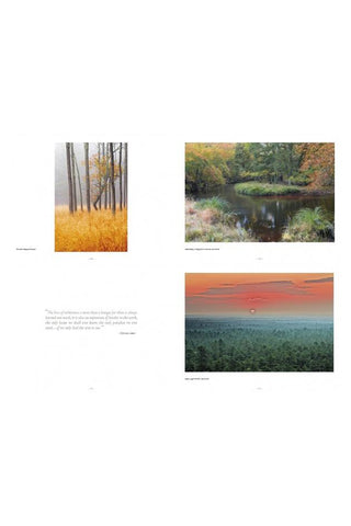 Three landscape photographs arranged in a grid on a white background.