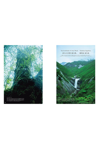 Premium magazine interior posters with lush green forest and mountain waterfall photos