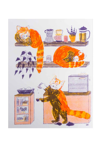 Illustration of a raccoon in a kitchen setting with shelves and appliances.