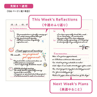 Planner page layout shown on a white background, with two main sheets labeled 'This Week's Reflections' and 'Next Week's Plans,'