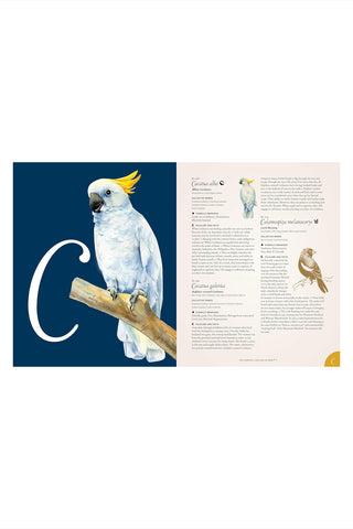 Book open to a page with a parrot illustration and text on a white background