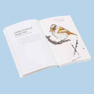 Open book with a drawing of a bird on a light blue background