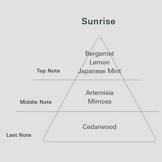 Sunrise notes pyramid: Bergamot, Lemon, Japanese Mint; Artemisia, Mimosa; Cedarwood