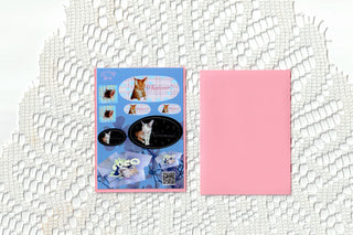 Photo cat sticker sheet and pink card sleeve side by side on a white lace background